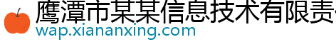 鹰潭市某某信息技术有限责任公司